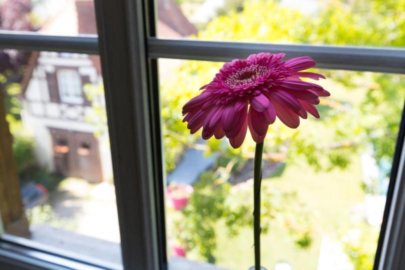 Le Clos D'Azel Maison D'Hotes Flexbourg エクステリア 写真